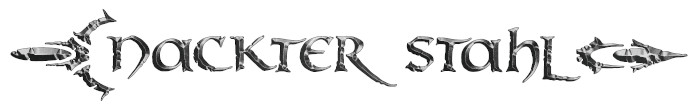 NS_CompanyLogo2019-copy